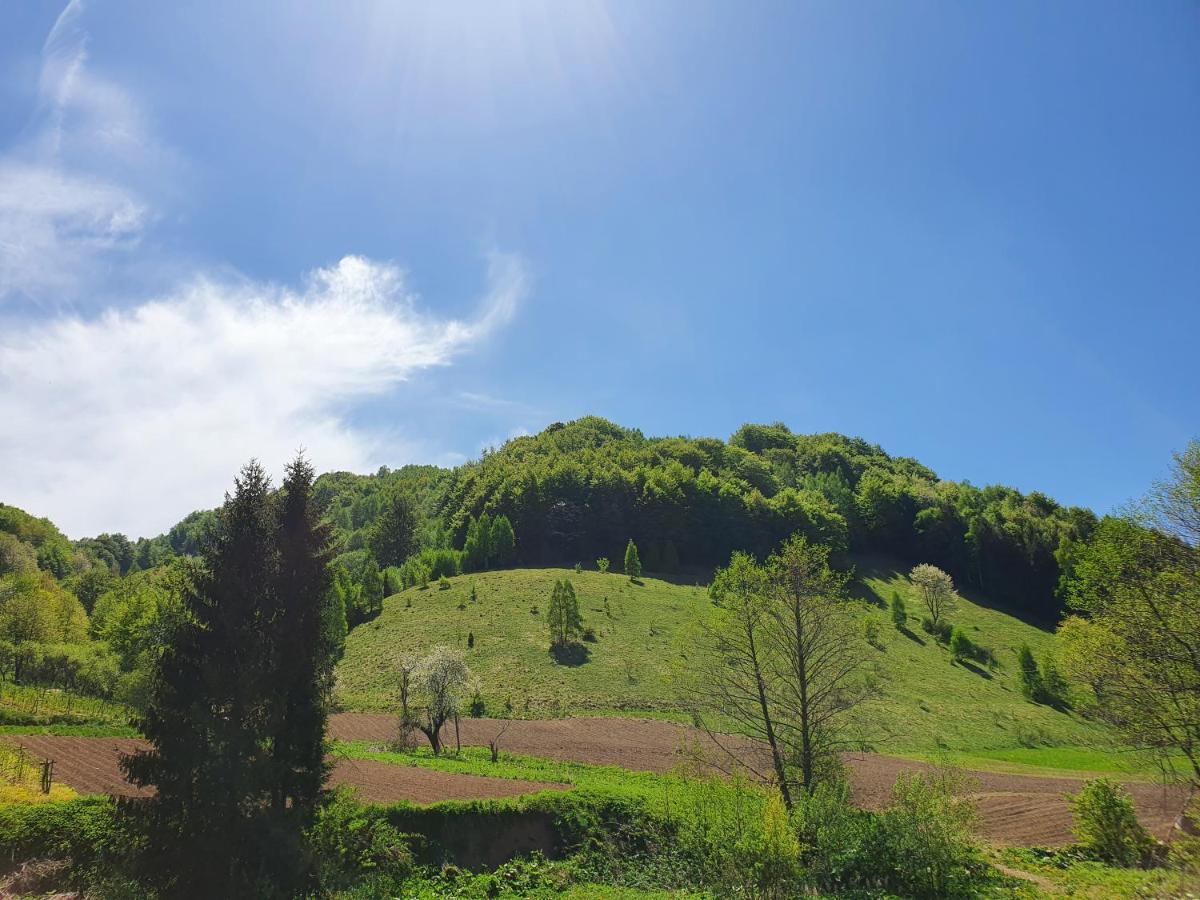 Planinsko Jutro - Brzece Centar Apartments, Kopaonik ภายนอก รูปภาพ